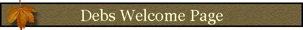 Debs Welcome Page
